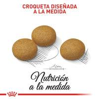 Alimento Royal Canin Ccn Medium Derma 3Kg