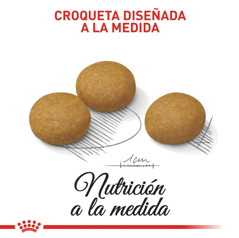 Alimento Royal Canin Ccn Medium Derma 3Kg