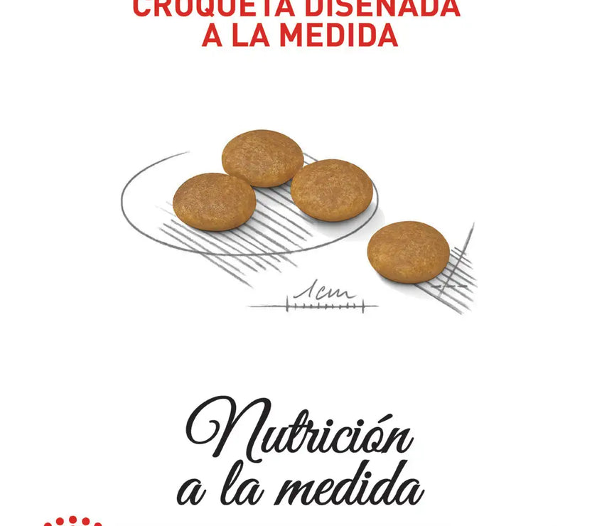 Alimento Royal Canin Ccn Mini Derma 3Kg