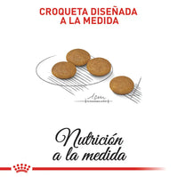 Alimento Royal Canin Ccn Mini Derma 3Kg
