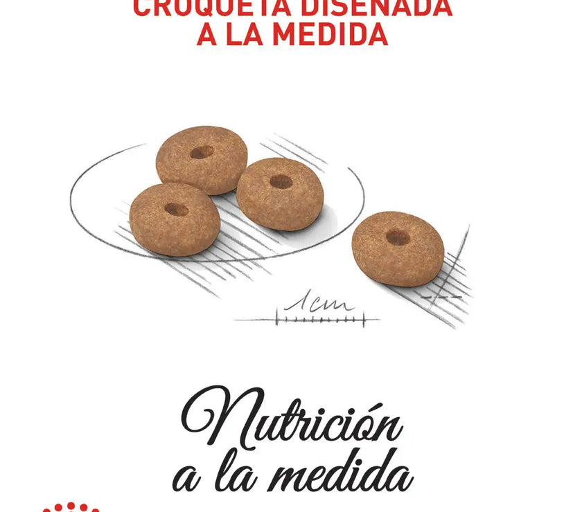 Alimento Royal Canin Ccn Mini Light Weight Care 1Kg