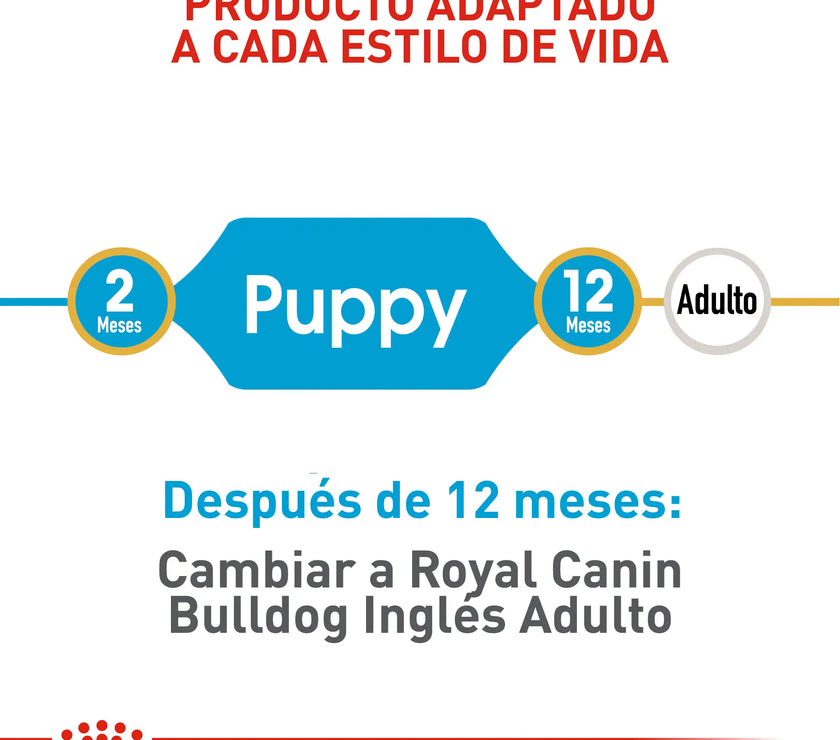 Alimento Royal Canin Bhn Bulldog Ingles Puppy