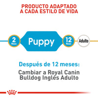 Alimento Royal Canin Bhn Bulldog Ingles Puppy