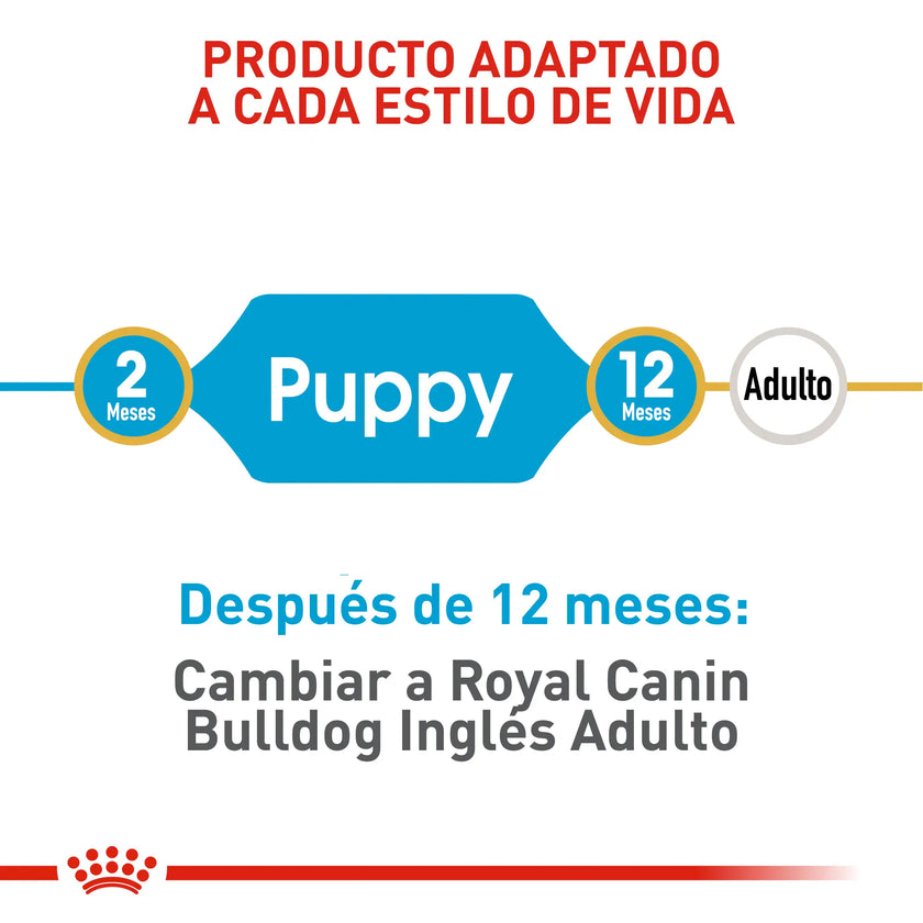 Alimento Royal Canin Bhn Bulldog Ingles Puppy