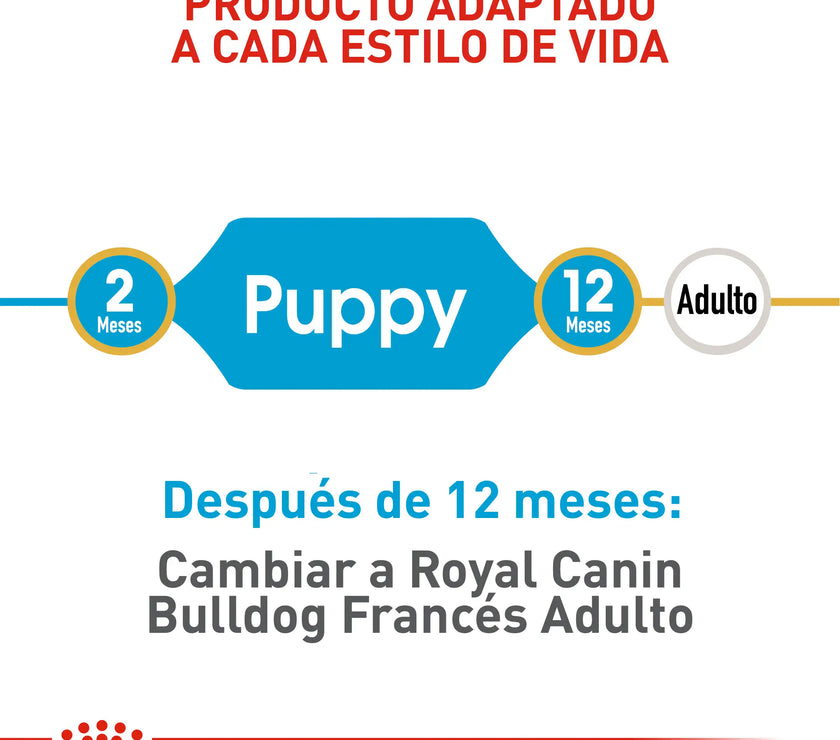 Alimento Royal Canin Bhn  Bulldog Frances Puppy