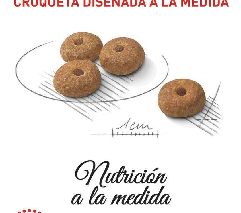 Alimento Royal Canin Ccn Mini Esterilizado Adulto