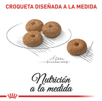Alimento Royal Canin Ccn Mini Esterilizado Adulto