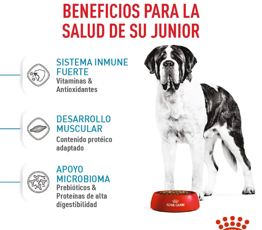Alimento Royal Canin Shn Giant Adulto