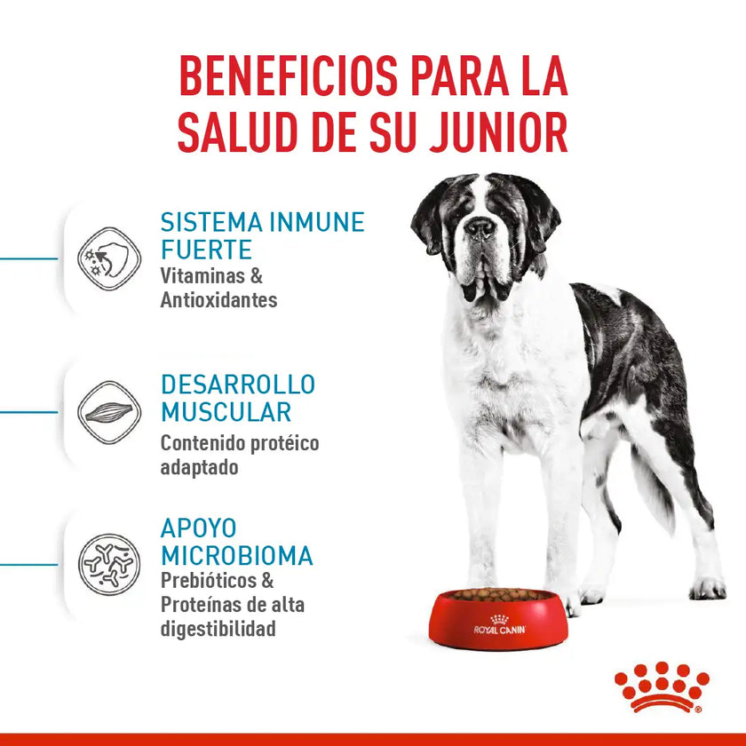 Alimento Royal Canin Shn Giant Adulto