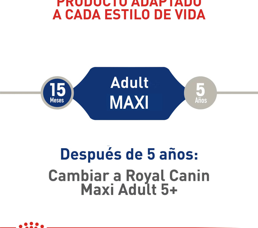 Alimento Royal Canin Shn Maxi Adulto - 4kg