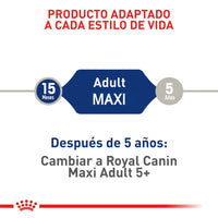 Alimento Royal Canin Shn Maxi Adulto - 4kg