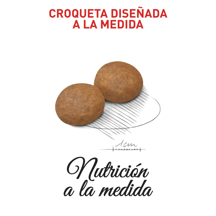 Alimento Royal Canin Shn Maxi Adulto  5+ 15Kg