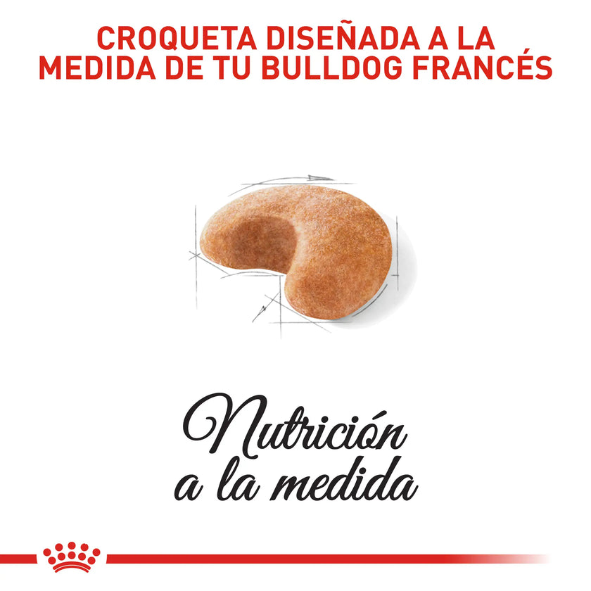 Royal Canin bulldog frances adulto x 9kg