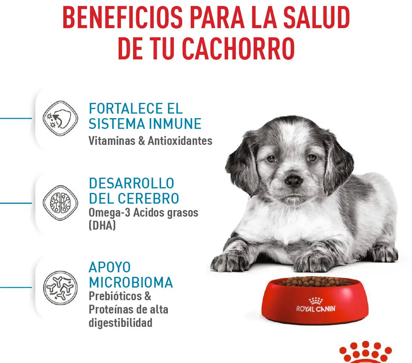 Alimento Royal Canin Shn Medium Puppy