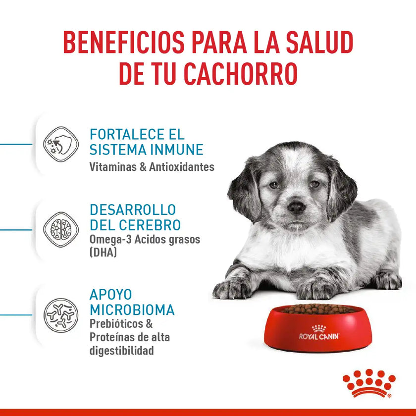 Alimento Royal Canin Shn Medium Puppy