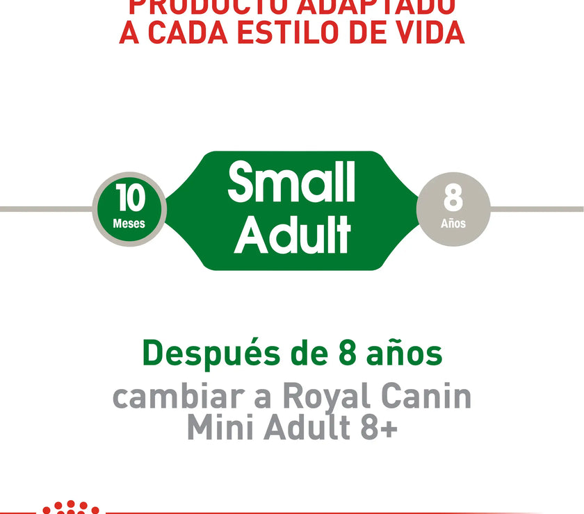 Alimento Royal Canin Shn Mini  Adulto