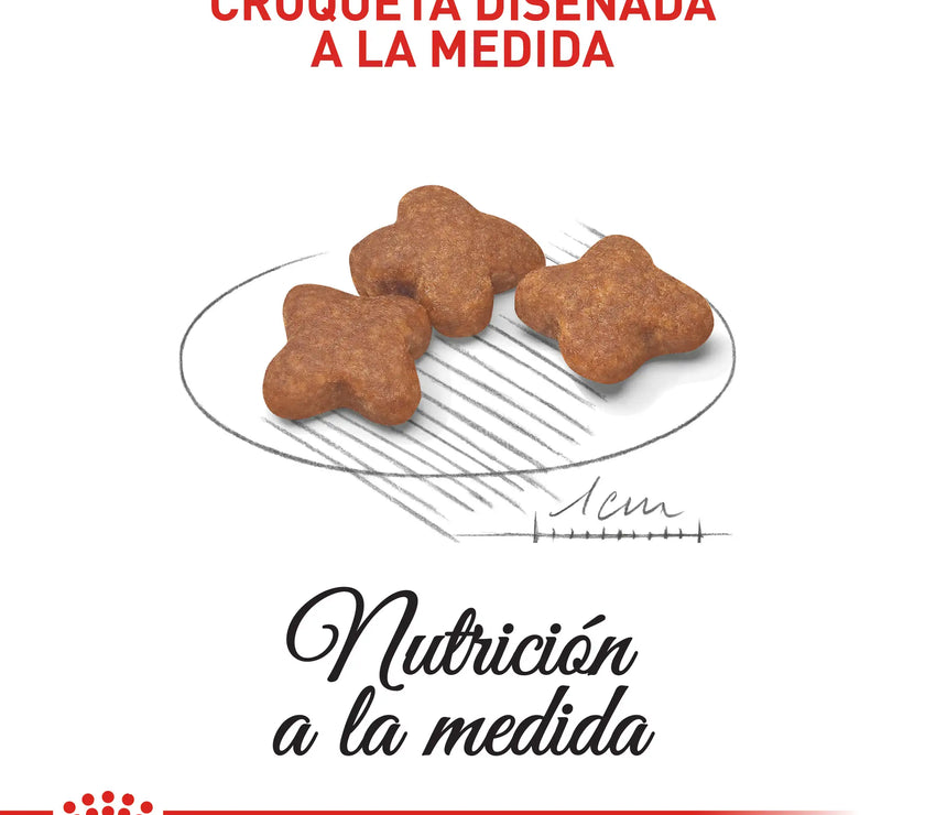 Alimento Royal Canin Shn Mini Mature 8+ 2Kg