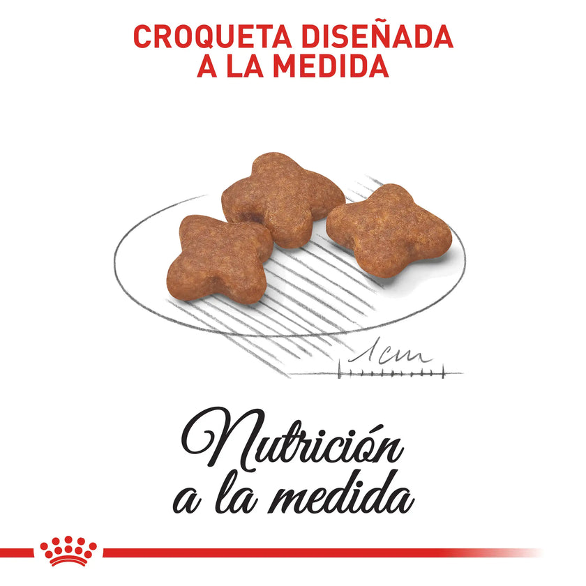 Alimento Royal Canin Shn Mini Mature 8+ 2Kg