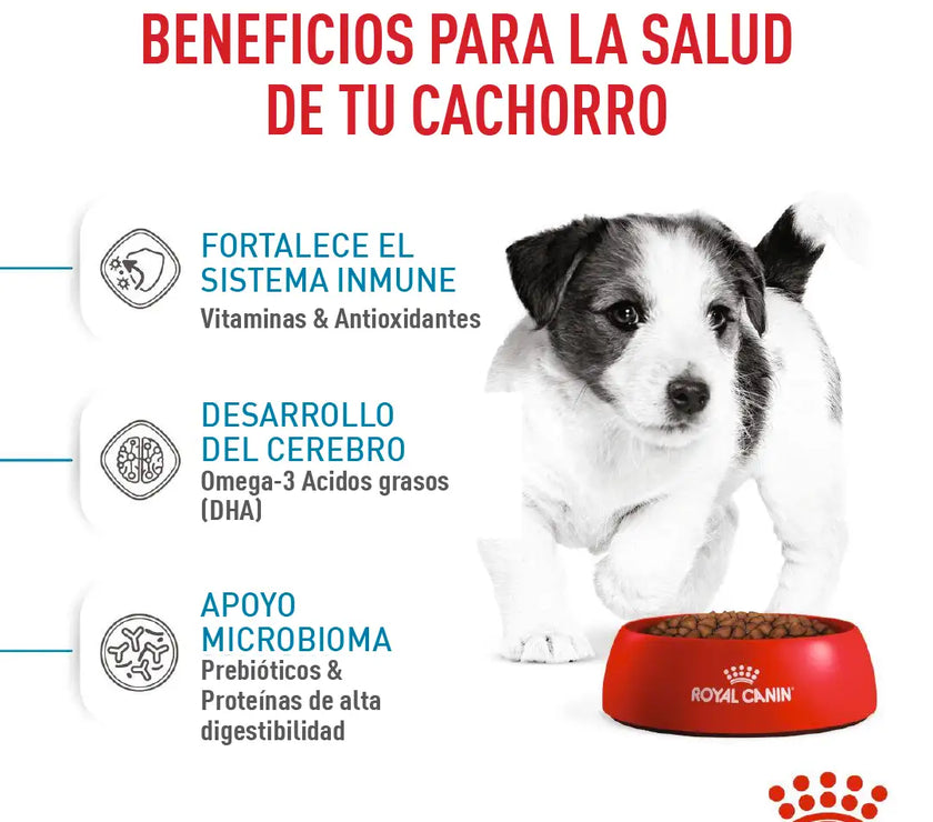 Alimento Royal Canin Shn Mini Puppy
