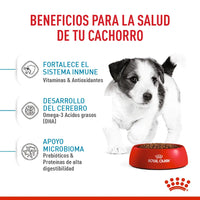 Alimento Royal Canin Shn Mini Puppy