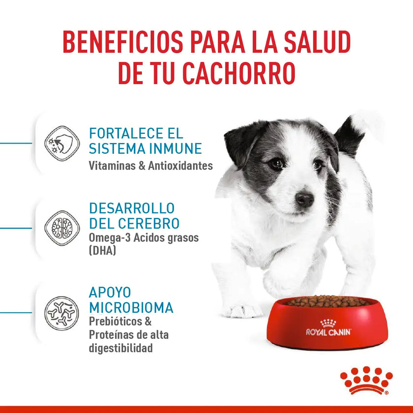 Alimento Royal Canin Shn Mini Puppy