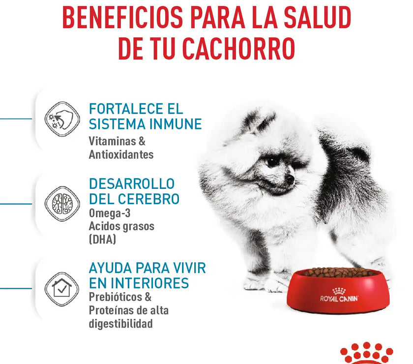 Alimento Royal Canin Shn Mini Indoor Puppy 1.5Kg