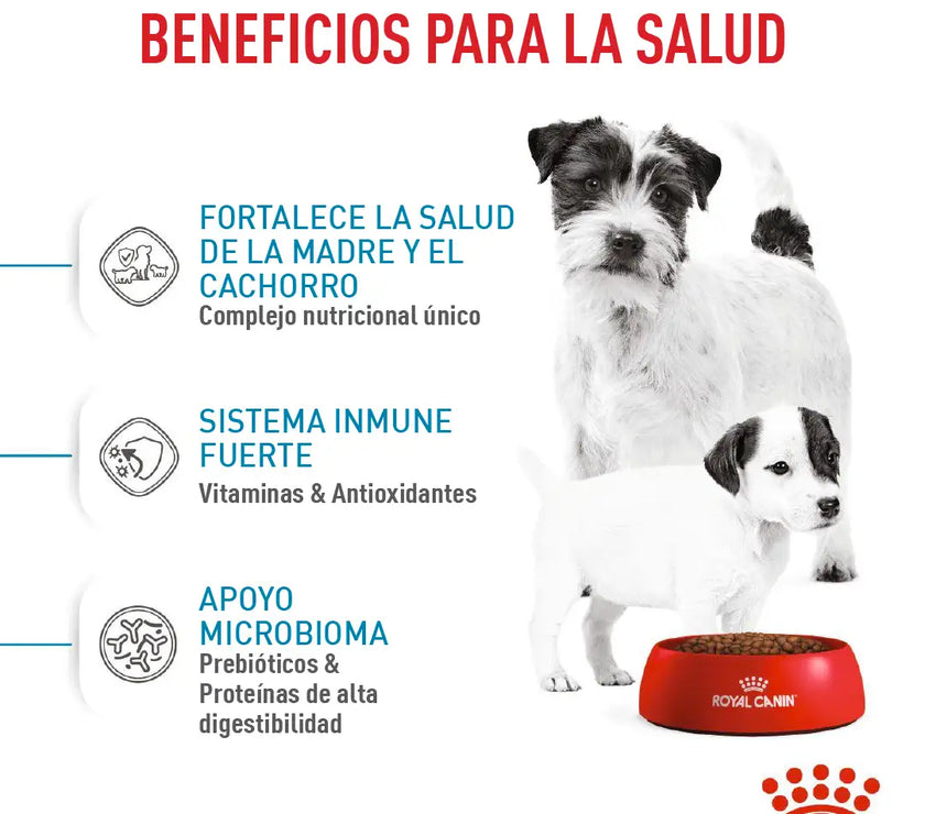 Alimento Royal Canin Shn Mini  Starter Mother & Baby Dog 1Kg