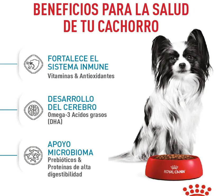 Alimento Royal Canin Shn X-Small Puppy 1.5 Kg