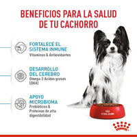 Alimento Royal Canin Shn X-Small Puppy 1.5 Kg