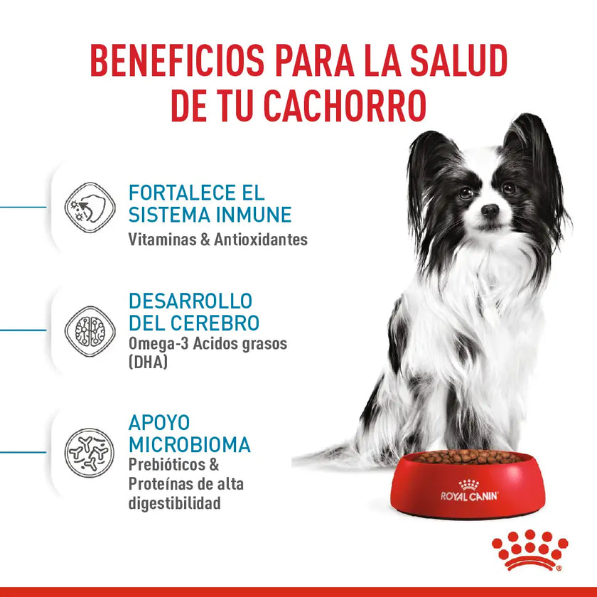 Alimento Royal Canin Shn X-Small Puppy 1.5 Kg