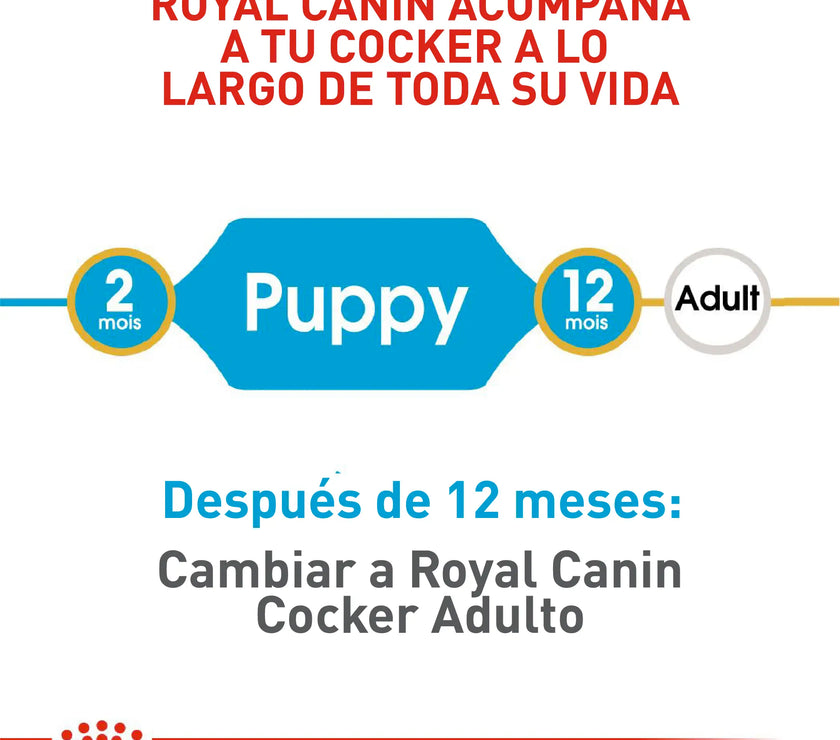Alimento Royal Canin Bhn Cocker Puppy x 3 Kg