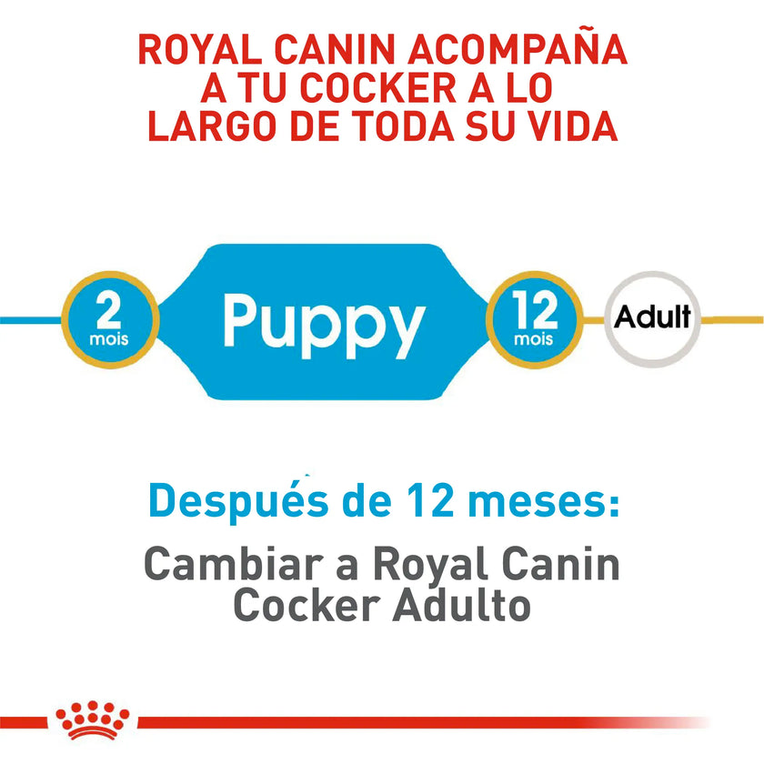 Alimento Royal Canin Bhn Cocker Puppy x 3 Kg
