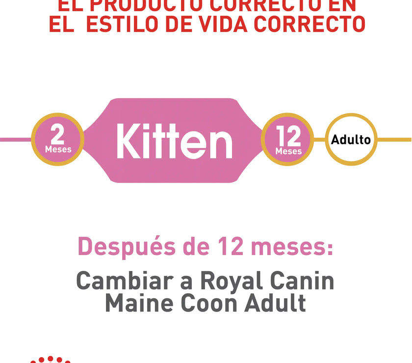 Alimento Royal Canin Fbn Maine Coon Kitten 4 Kg