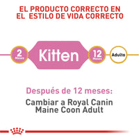 Alimento Royal Canin Fbn Maine Coon Kitten 4 Kg