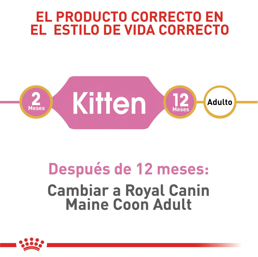 Alimento Royal Canin Fbn Maine Coon Kitten 4 Kg