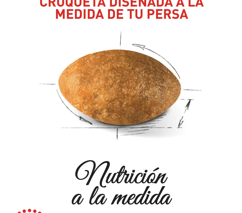 Alimento Royal Canin Fbn Persian Adulto