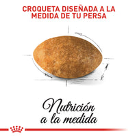 Alimento Royal Canin Fbn Persian Adulto