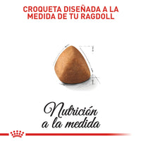Alimento Royal Canin Fbn Ragdoll Adulto 2Kg