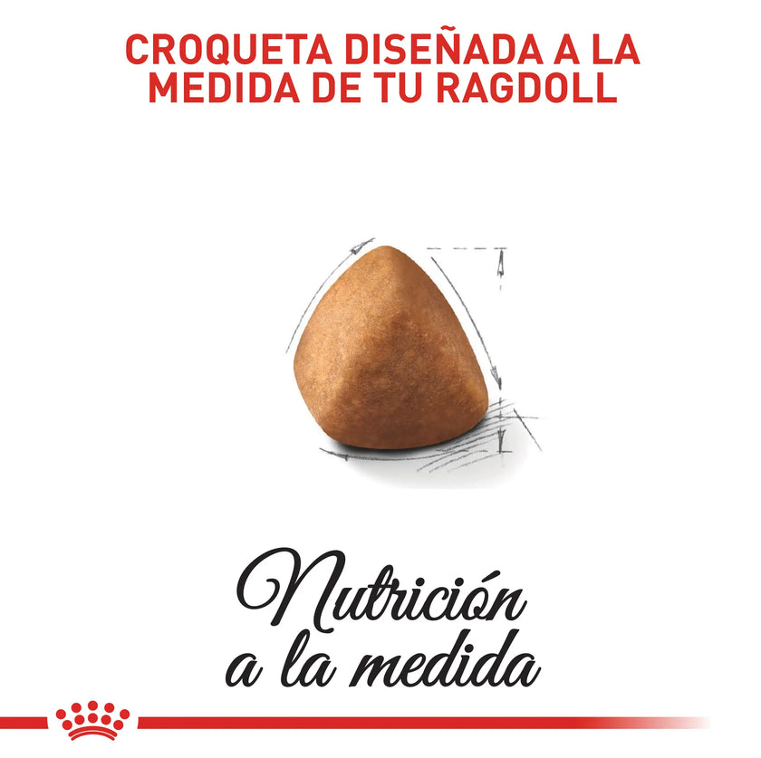 Alimento Royal Canin Fbn Ragdoll Adulto 2Kg