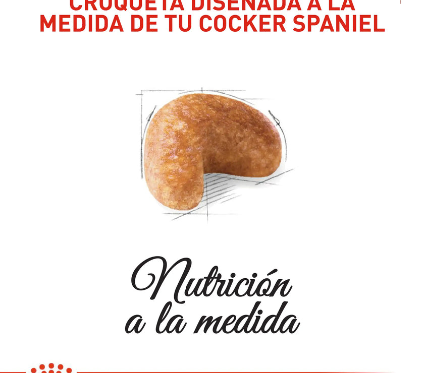 Alimento Royal Canin Bhn Cocker Adulto x 3 Kg