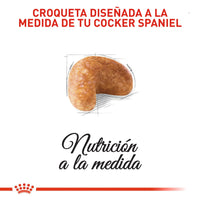 Alimento Royal Canin Bhn Cocker Adulto x 3 Kg