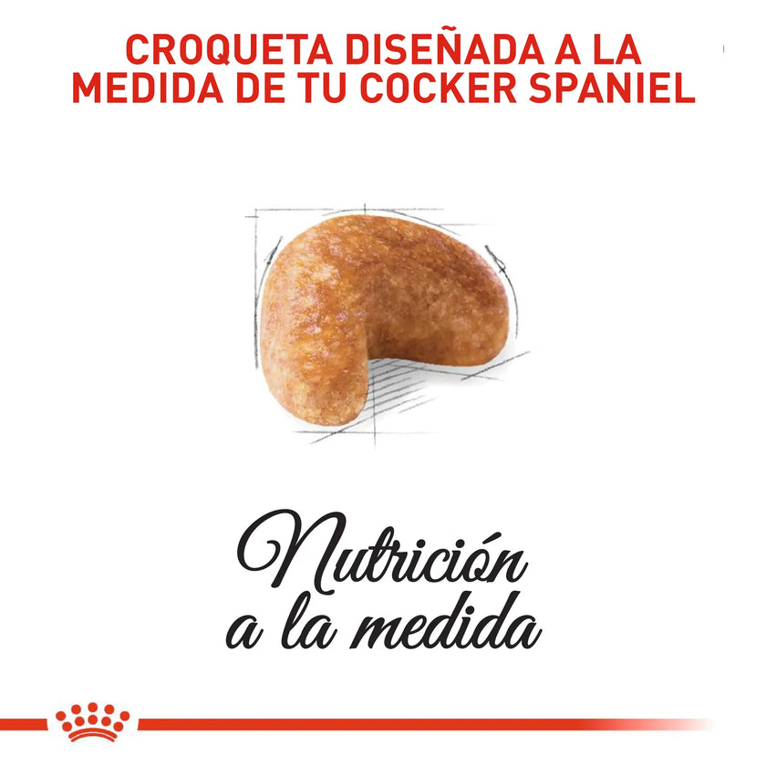 Alimento Royal Canin Bhn Cocker Adulto x 3 Kg