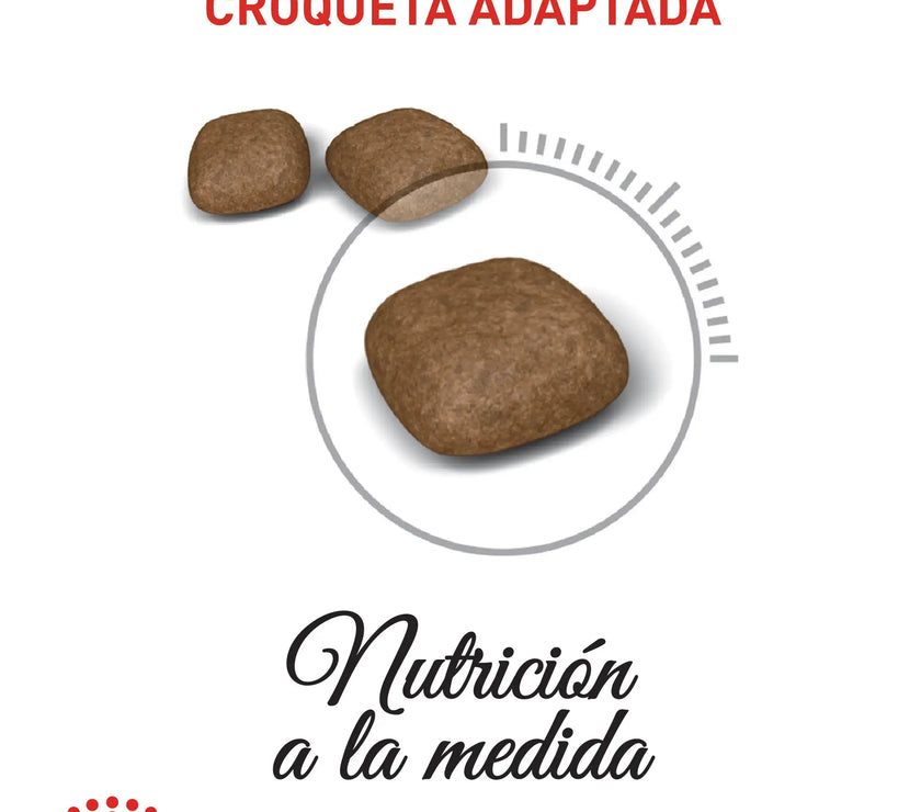 Alimento Royal Canin Fcn Urinary Care Cat 2Kg