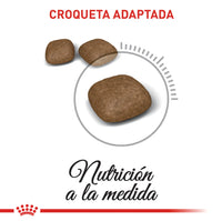 Alimento Royal Canin Fcn Urinary Care Cat 2Kg