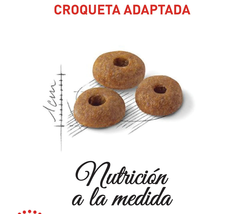 Alimento Royal Canin Fhn Adult Fit
