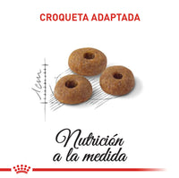 Alimento Royal Canin Fhn Adult Fit