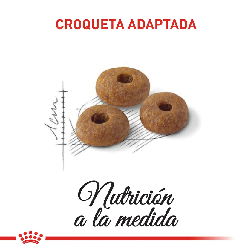 Alimento Royal Canin Fhn Adult Fit