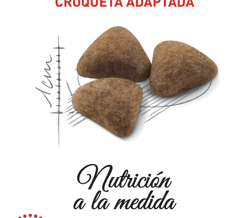 Alimento Royal Canin Fhn Indoor 27 Adulto