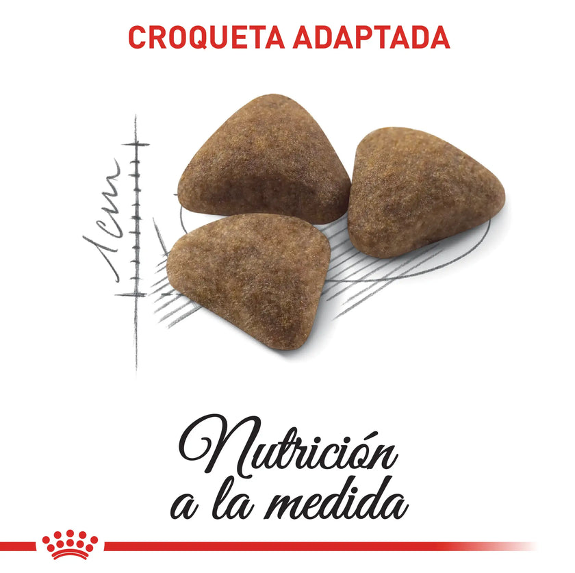 Alimento Royal Canin Fhn Indoor 27 Adulto