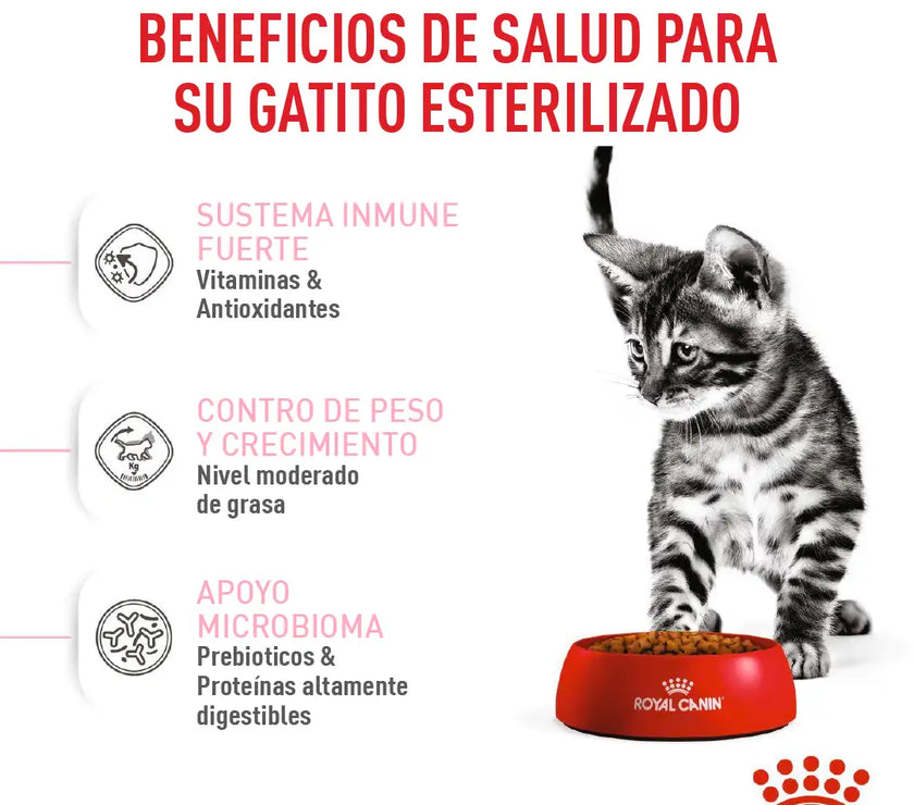 Alimento Royal Canin Fhn Kitten Esterilizado